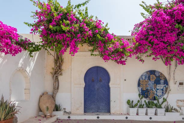 Façade tunisienne fleurie à Djerba